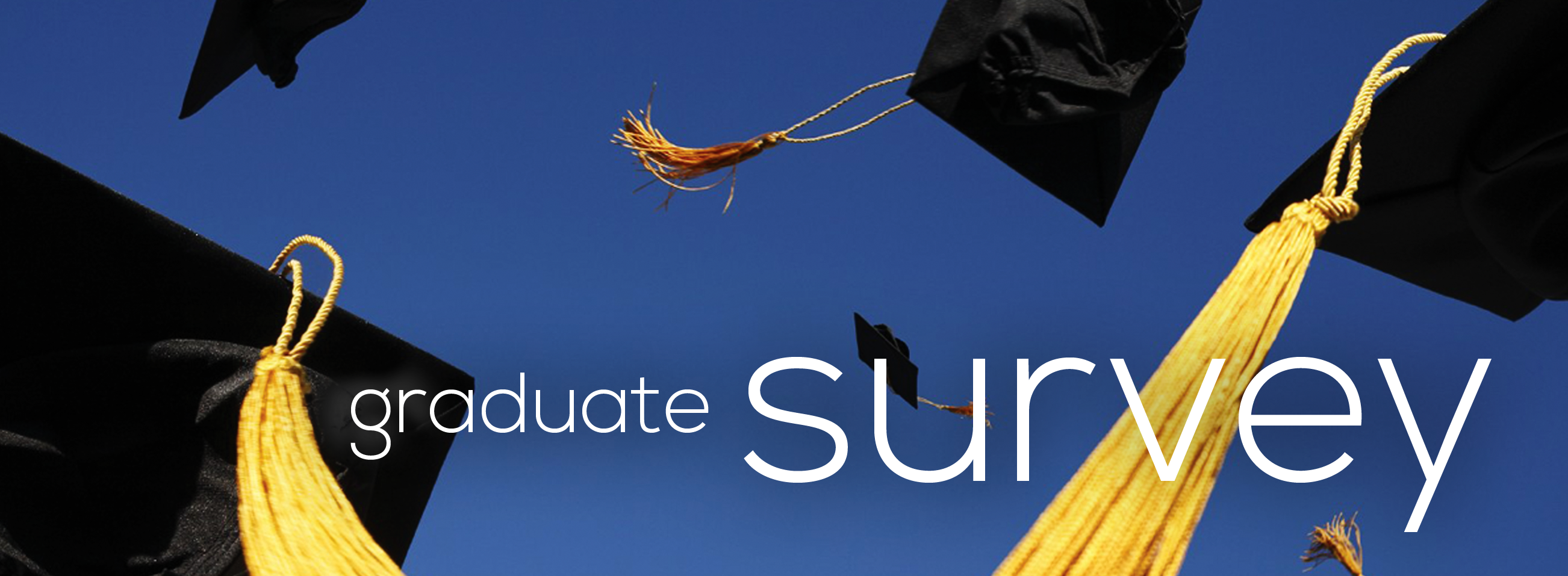 Graduate survey firm